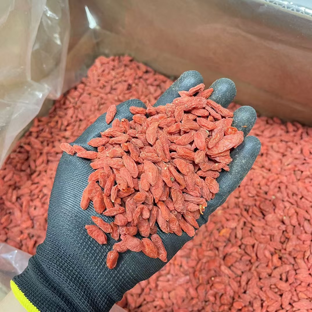 Dried Goji Berries Ningxia Premium Grade Large Fruit 250g Bag - Image 2