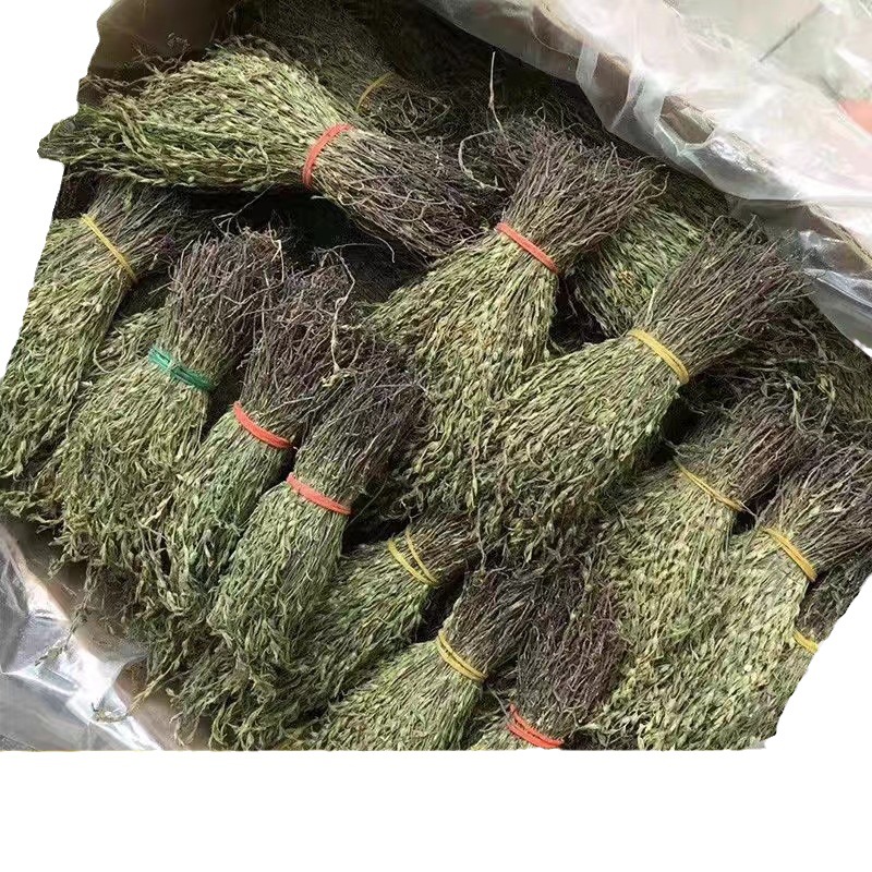 Dried Striga Herb Du Jiao Jin 500g Guangxi Whole Herb for Herbal Soup and Decoction - Image 5