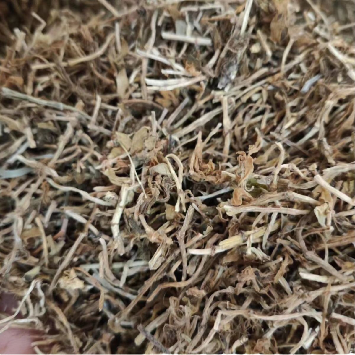 Chui Pen Cao (Sedum sarmentosum) — Dried Chinese Herbal Decoction Pieces, 500g - Image 5