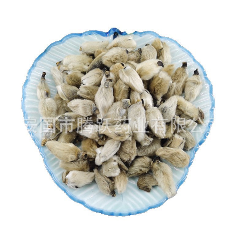 Xin Yi Hua Magnolia Flower Buds Dried Traditional Chinese Herb for Decoction and Tea 1 lb Bag - Image 5