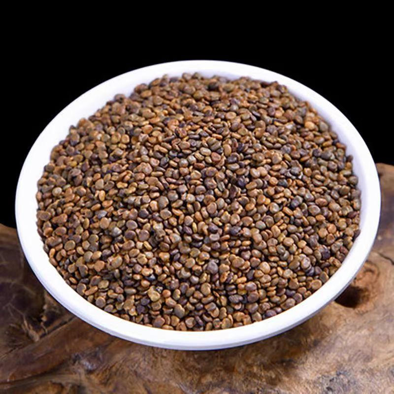 Sha Yuan Zi (Astragalus complanatus) — Dried Food-Herb Seeds for Tea & Daily Nourishment - Image 2