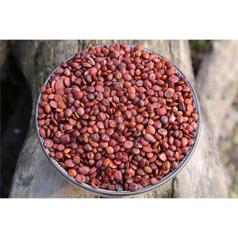 Sour Jujube Seed Suan Zao Ren 250g Dried Ziziphus Seeds for Herbal Tea and Decoction - Image 3