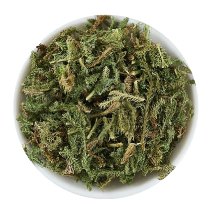 Shen Jin Cao (Lycopodium clavatum) — Dried Herbal Stems for Traditional Decoctions & Soaks - Image 5