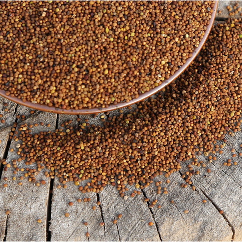Dried Cuscuta Seed Tu Si Zi 500g Whole Dodder Seed Raw Herb for Decoction and Tea - Image 3