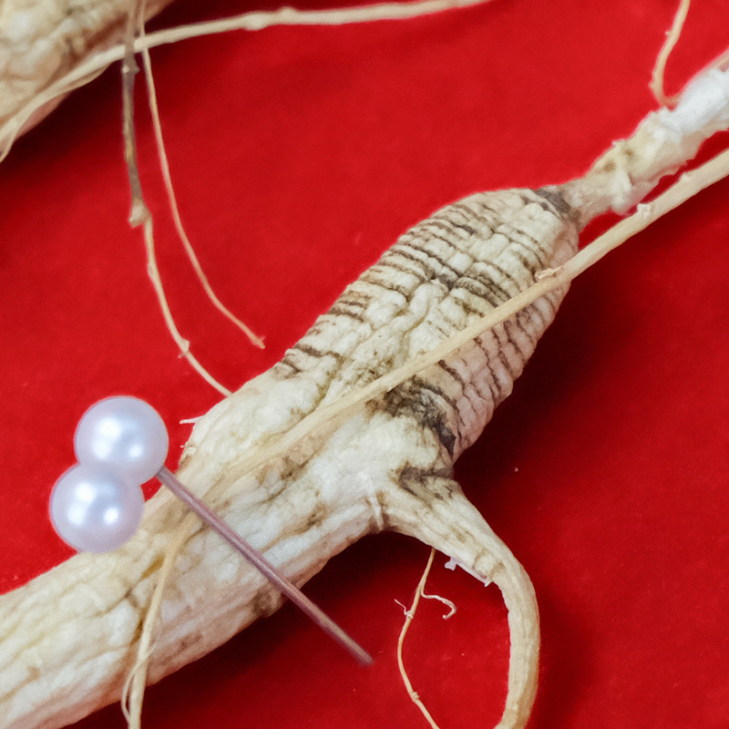 Changbai Mountain Wild-Simulated Ginseng Sun-Dried Whole Roots Gift Box 5 Roots for Soup and Wine - Image 4