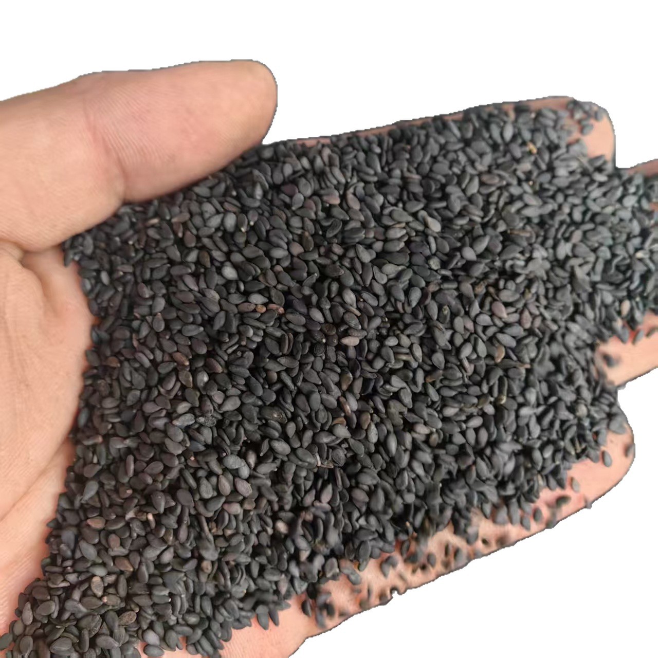Black Sesame Seeds Hei Zhi Ma 500g Ready to Eat Plump Dried Seeds - Image 4