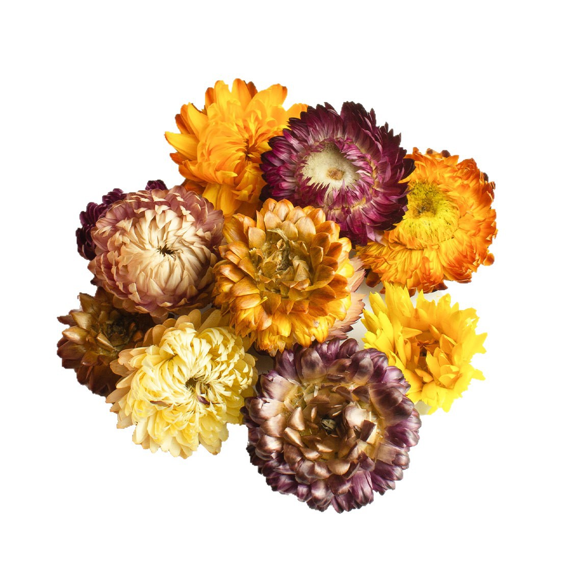 Seven-Color Chrysanthemum Tea 250g Dried Qicai Ju Flowers Loose Herbal Infusion for After-Meal Drinking - Image 5