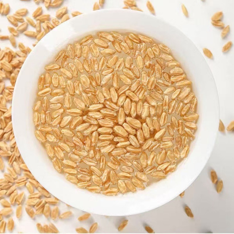 Fu Xiao Mai (Triticum aestivum) — Naturally Sun-Dried Light Wheat for Tea & Soup - Image 4
