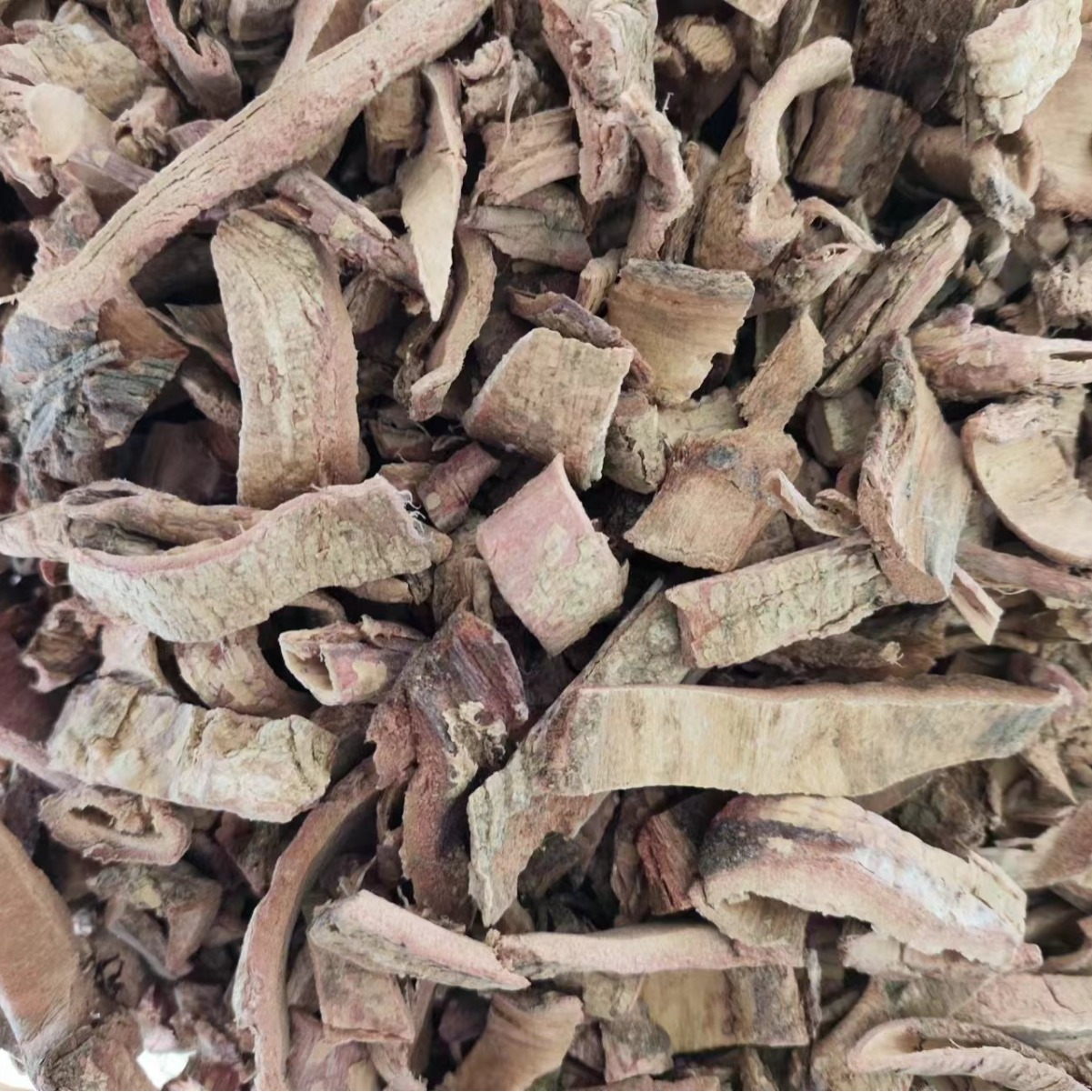Tu Jin Pi (Pseudolarix amabilis) — Dried Traditional Herb Bark, 500g - Image 3