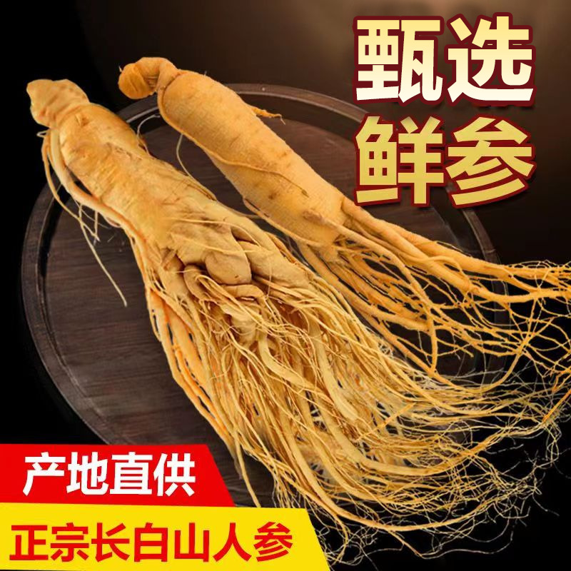 Fresh Changbai Mountain Ginseng Ren Shen Whole Root for Tea Wine and Cooking 350g - Image 4