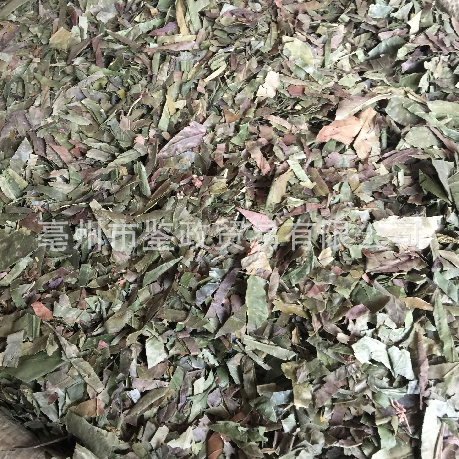 Dried Tangerine Leaf Ye Zi Loose Raw Herb 500g for Decoction and Tea - Image 4