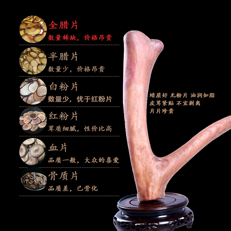Dried Velvet Antler Full Wax Slices Deer Antler Slices for Traditional Soup and Decoction Use - Image 3