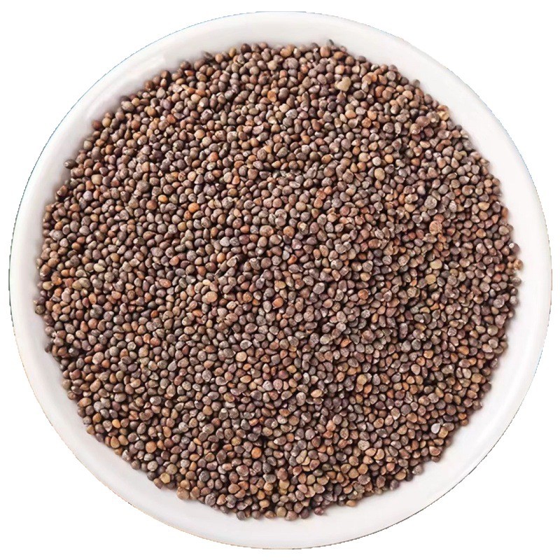 Zi Su Zi Powder (Perilla frutescens) — Roasted Perilla Seed Powder, 500g Food Herb - Image 5