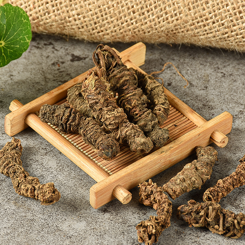 Valerian Root (Valeriana officinalis) — Dried Bulk Herb, Guang Valerian Rhizome - Image 2