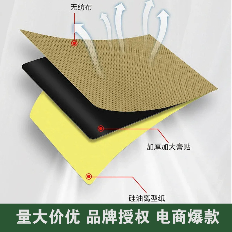 Tibetan Snake Bone Pain Relief Herbal Patch Self Heating Far Infrared for Waist and Joints 8 Patches - Image 4