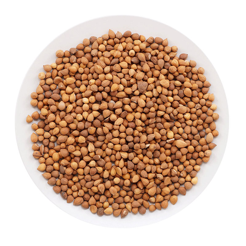 Chinese Bush Cherry Seed Yu Li Ren 郁李仁 Dried Prunus humilis Seeds Traditional TCM Herb Select Grade - Image 5