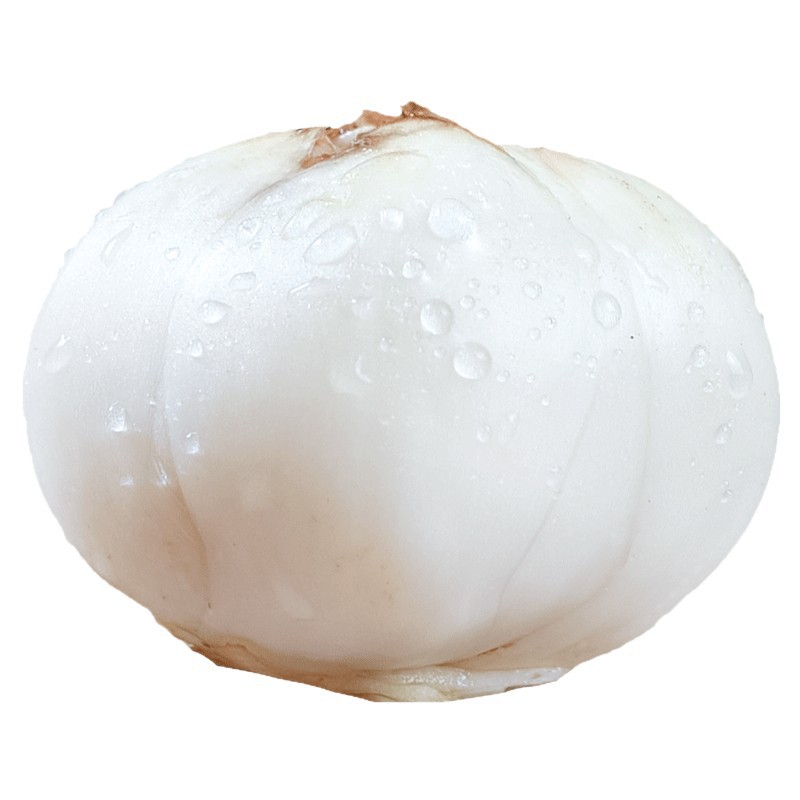 Fresh Lanzhou Lily Bulbs 500g Sweet Edible Bai He Premium Grade - Image 5