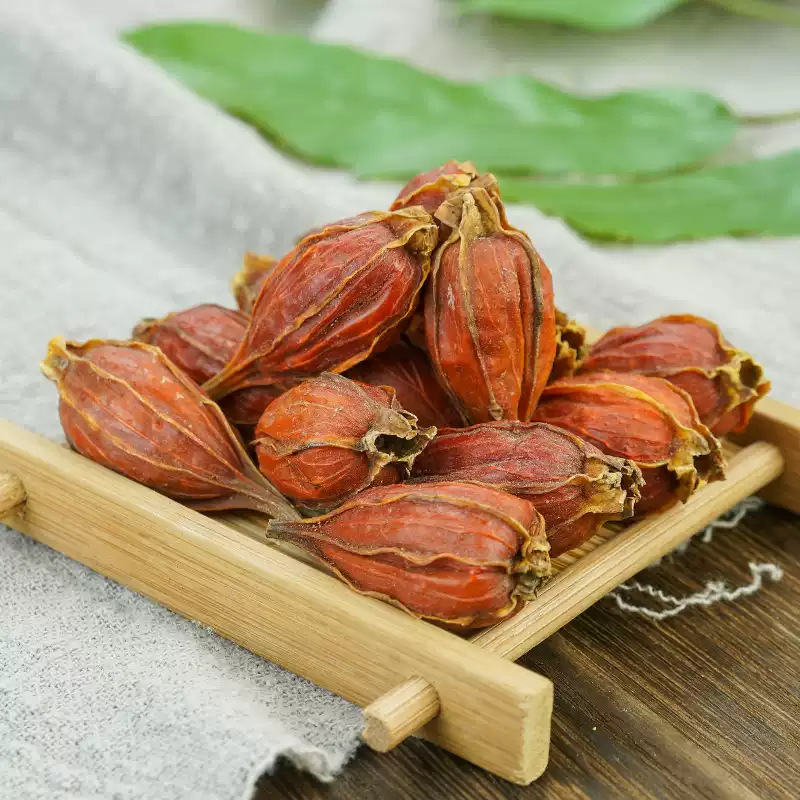 Dried Gardenia Fruit Zhi Zi 500g Whole Gardenia jasminoidis Fruit for Tea Wine and Foot Soak - Image 3