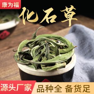 Hua Shi Cao (Lysimachia christinae) — Dried Food Herb for Herbal Tea & Decoction