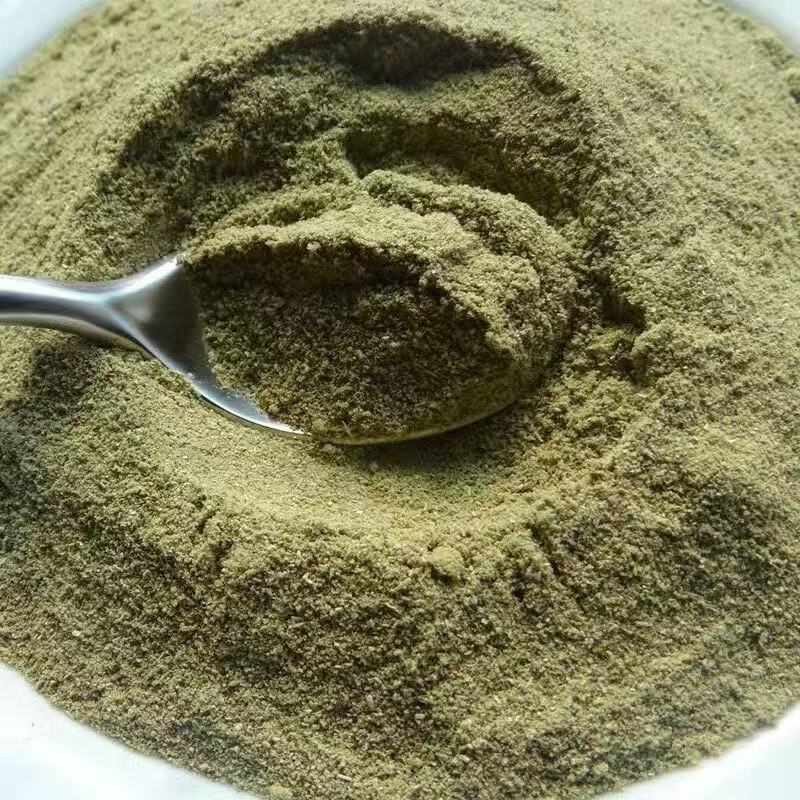 Rosemary Powder Fine Ground Culinary and Herbal Use 500g - Image 3