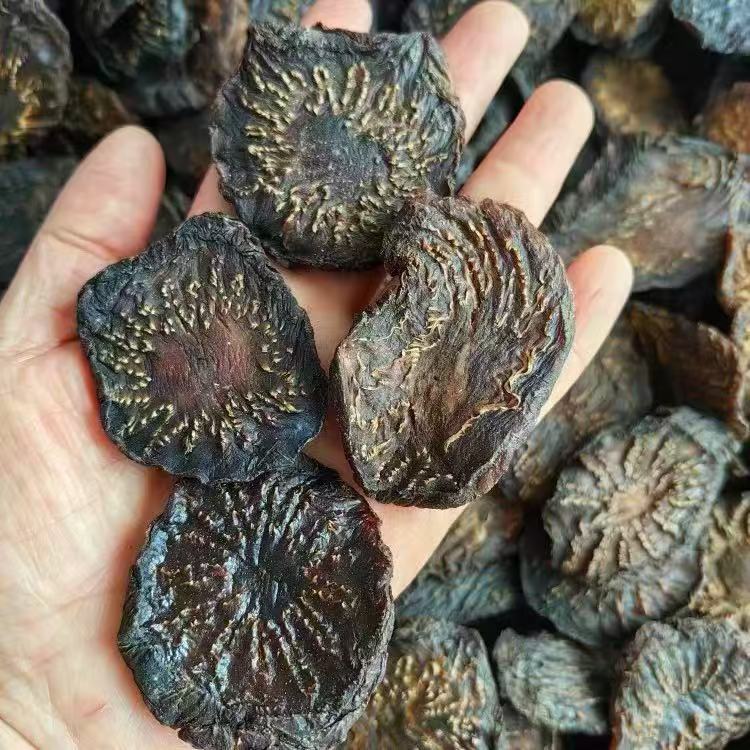 Cistanche Deserticola Rou Cong Rong Dried Herb 500g for Tonic Wine and Decoctions Xinjiang Origin - Image 2