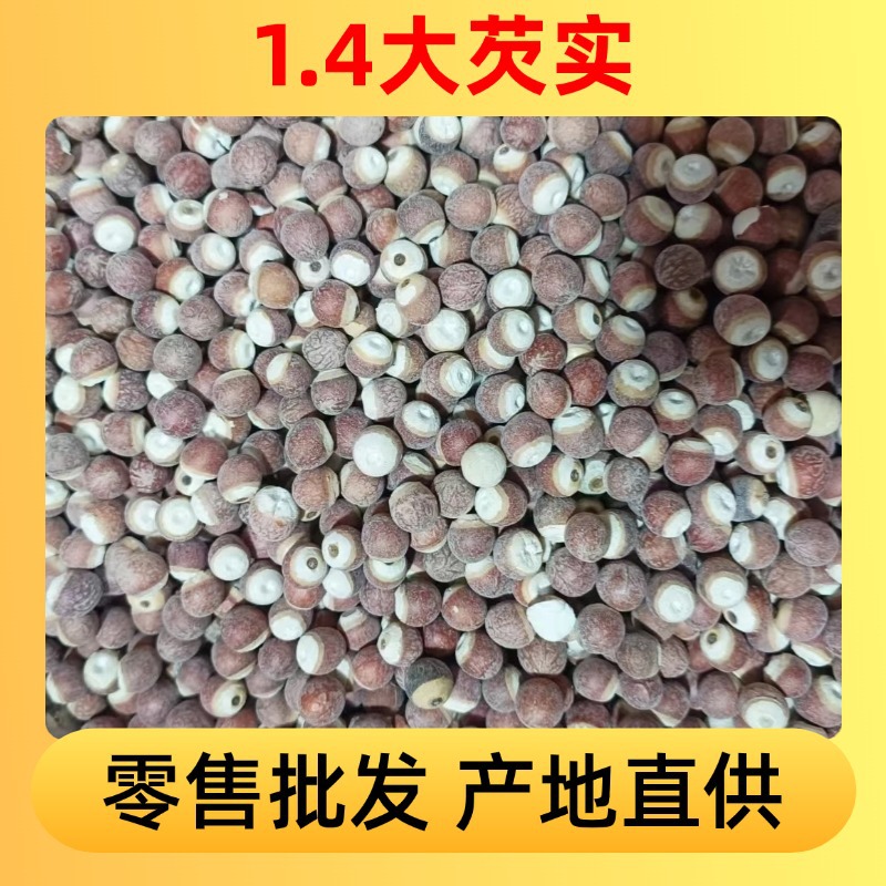 Dried Euryale Ferox Seeds Qian Shi 500g Chinese Herbal Food Grain - Image 2