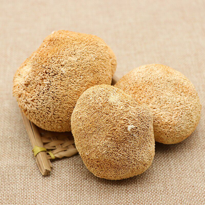 Dried Lion's Mane Mushroom Hou Tou Gu Hericium erinaceus Whole Dried Culinary Herb 500g - Image 3