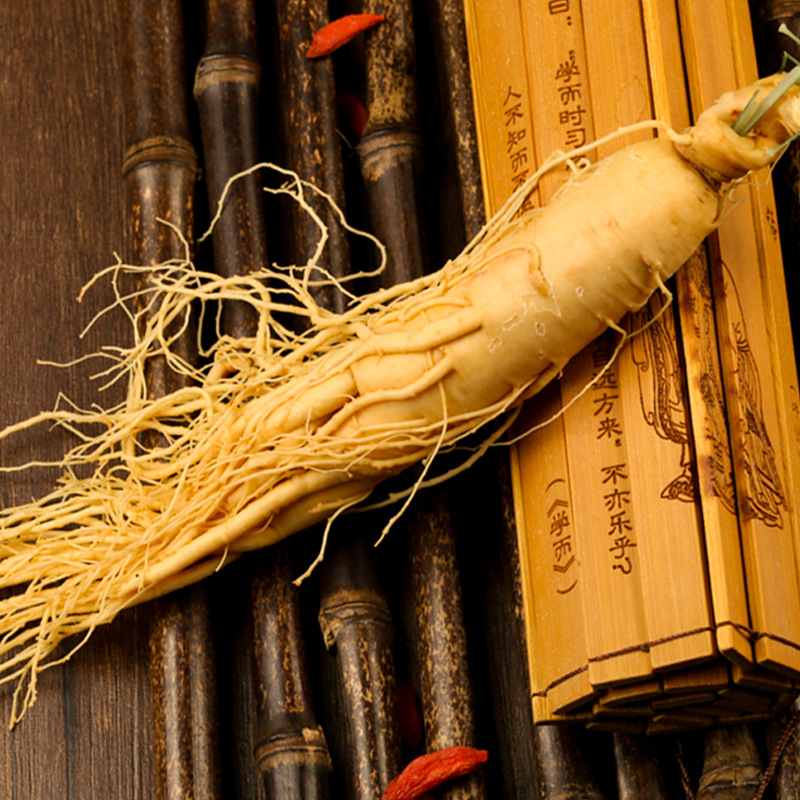 Fresh Ginseng Roots for Cooking and Herbal Soup 15g Pack of 10 Roots from Jilin - Image 4