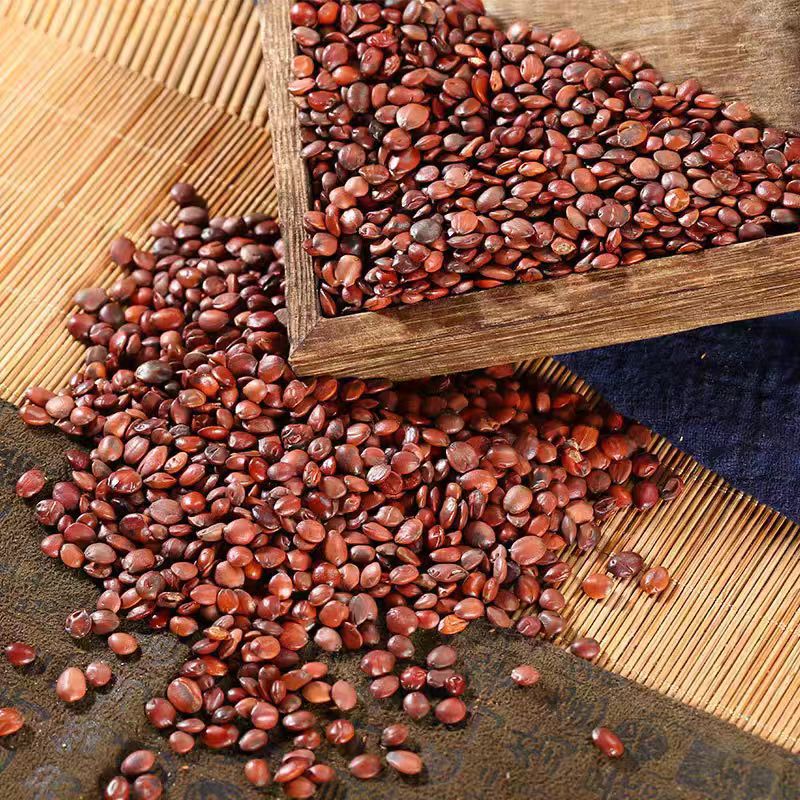 Suan Zao Ren (Ziziphus jujuba var. spinosa) — Dried Wild Jujube Seed for Tea & Soup - Image 4