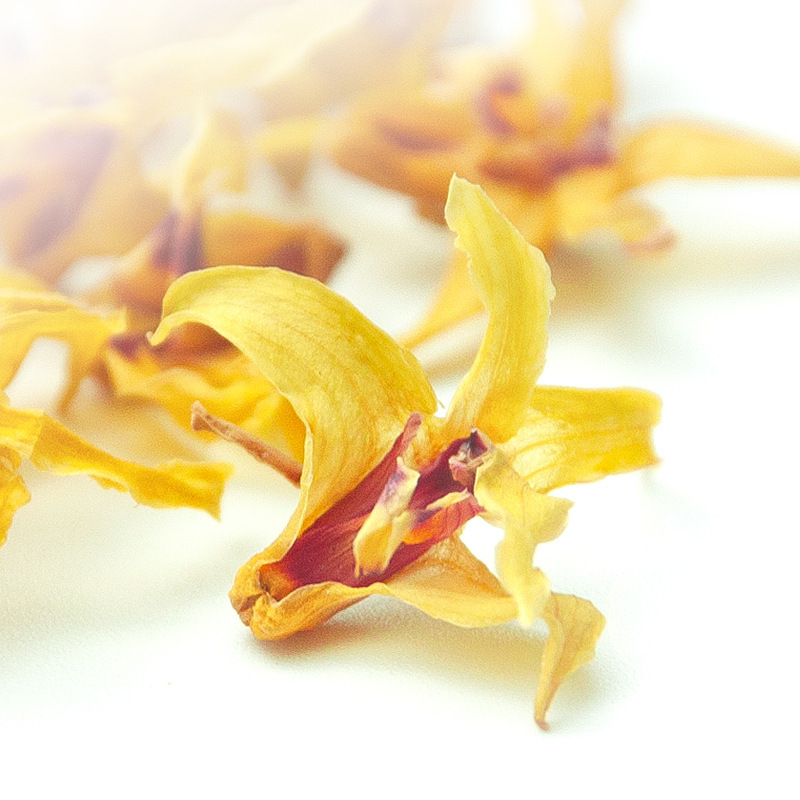 Dried Dendrobium Flower Tea 10g Jar Shi Hu Hua Tiepi Dendrobium - Image 3