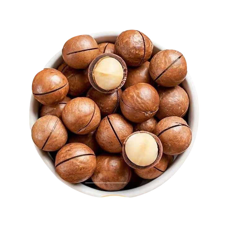 Macadamia Nuts (Macadamia integrifolia) — Creamy Jumbo Raw Food Nut, 500g - Image 5