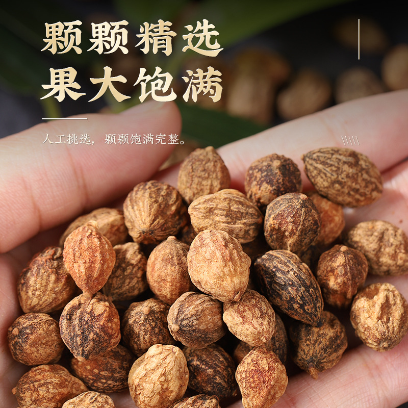 Yi Zhi Ren Dried Alpinia Oxyphylla Fruit 50g Bottle Traditional Chinese Herb for Decoction and Culinary Use - Image 2