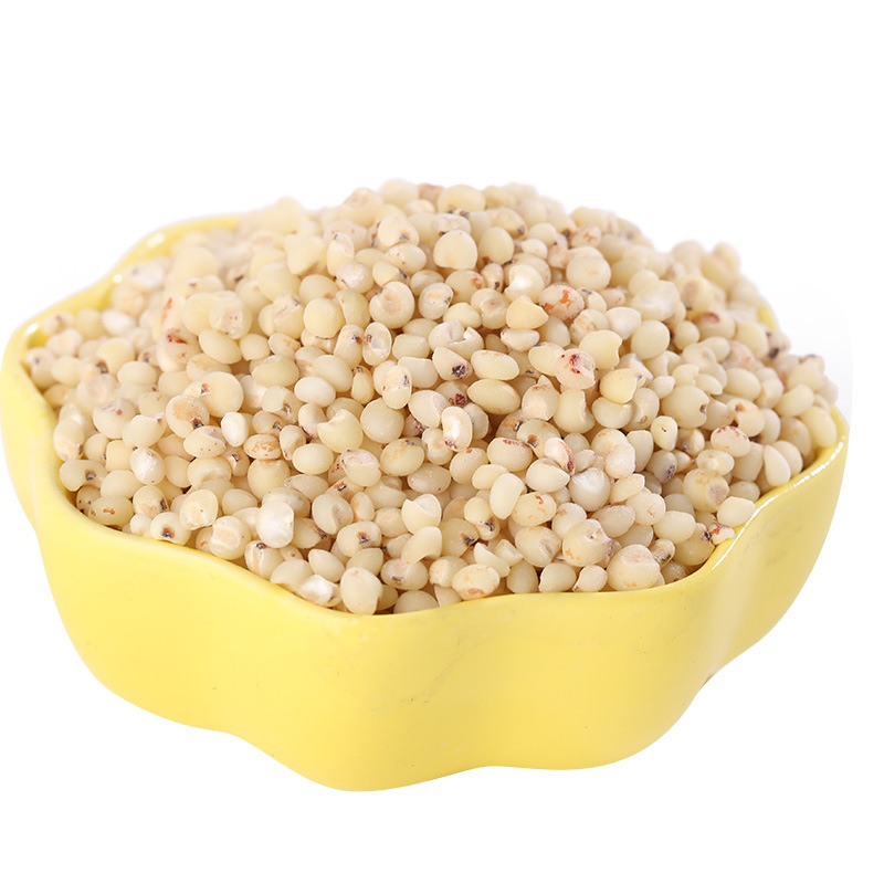 Roasted Mixed Grain Blend 500g Cooked Coix Seed Black Glutinous Rice Buckwheat Sorghum Oat Groats for Congee and Porridge - Image 2
