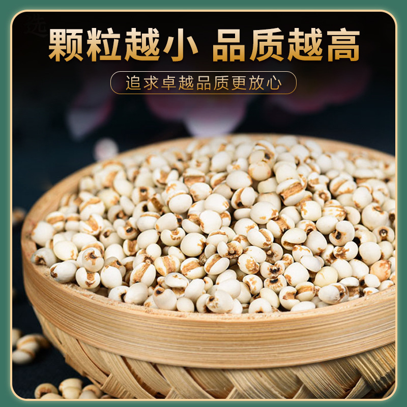 Coix Seed Yi Yi Ren 500g Dried Job's Tears Whole Grain Guizhou New Crop for Cooking and Herbal Soup - Image 2