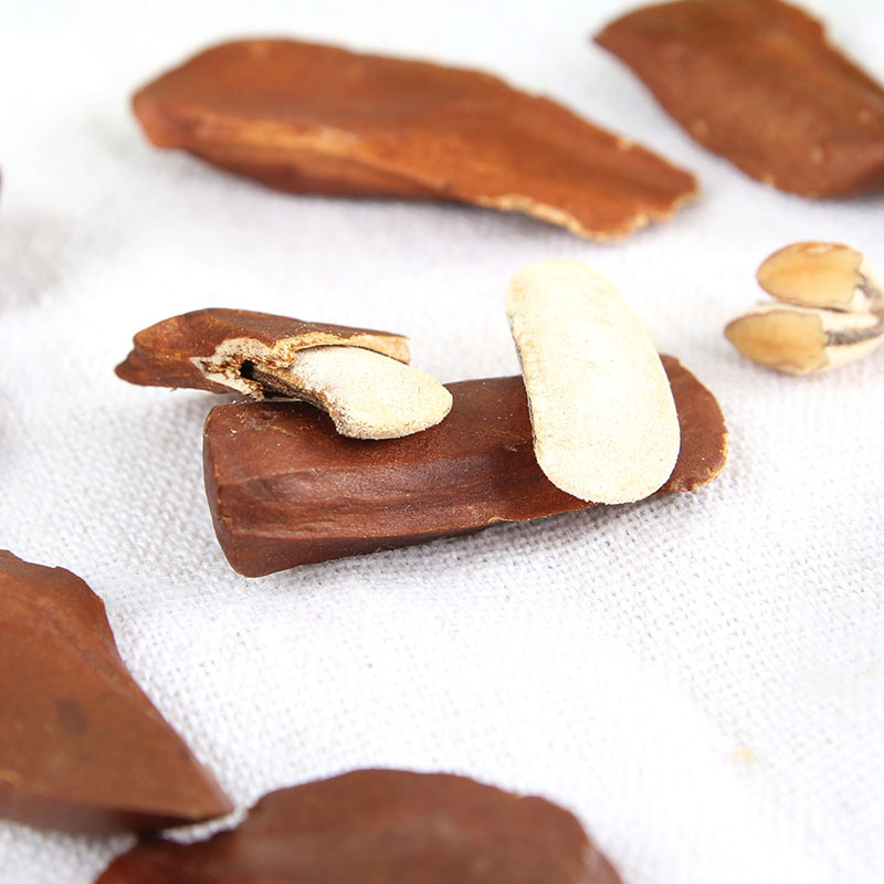 Xiang Tian Guo (Swietenia macrophylla) — Dried Sky Fruit Seeds, 500g Raw Herb - Image 3