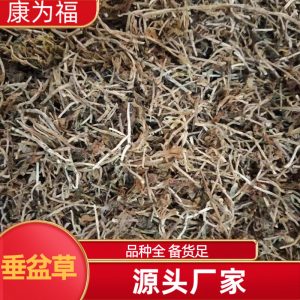 Chui Pen Cao (Sedum sarmentosum) — Dried Chinese Herbal Decoction Pieces, 500g