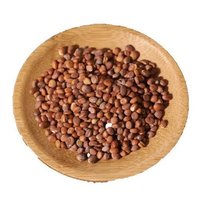 Lai Fu Zi (Raphanus sativus Seed) — Dried Radish Seed for Tea & Decoction - Image 3