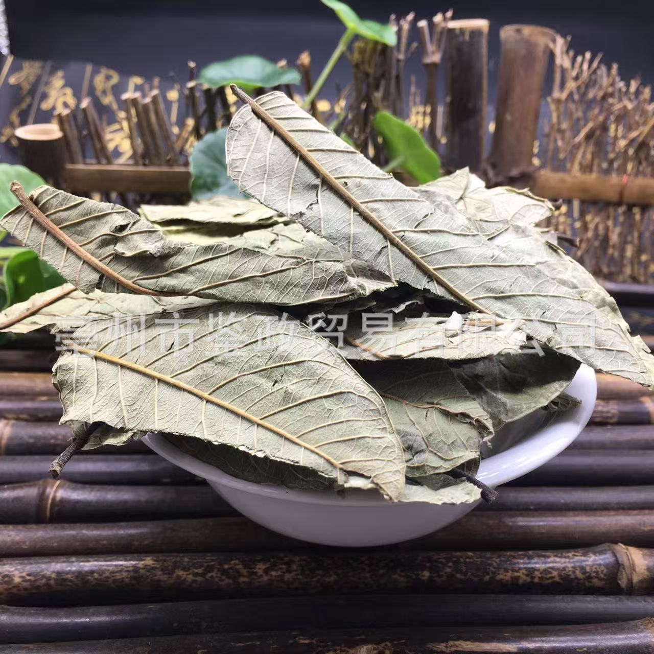 Guava Leaf Tea Folium Psidii Guajavae Fan Shi Liu Ye Dried Loose Leaves Bulk 500g - Image 4