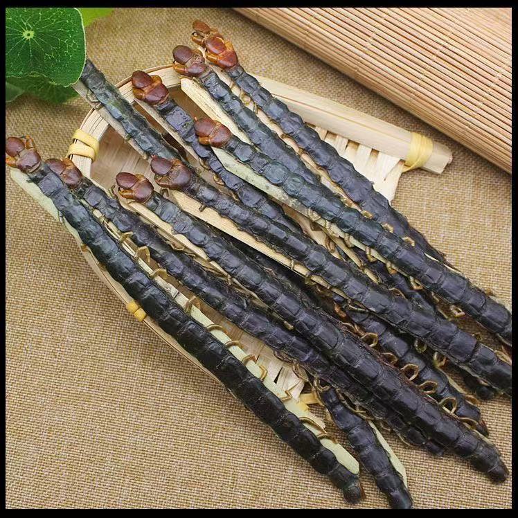 Dried Centipede Wu Gong Whole Herb Traditional TCM Ingredient Various Sizes Wholesale - Image 4