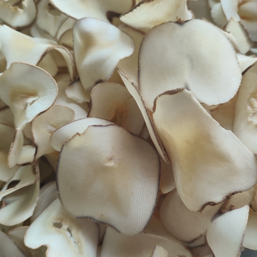 Hai Di Ye Dried Slices (Borassus flabellifer) — Food Herb for Soup & Dessert - Image 4