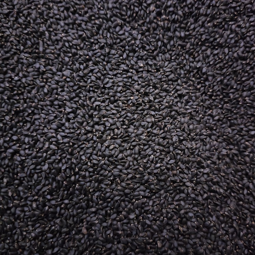 Lan Xiang Zi (Ocimum basilicum) — Basil Seeds for Herbal Drinks & Desserts - Image 2