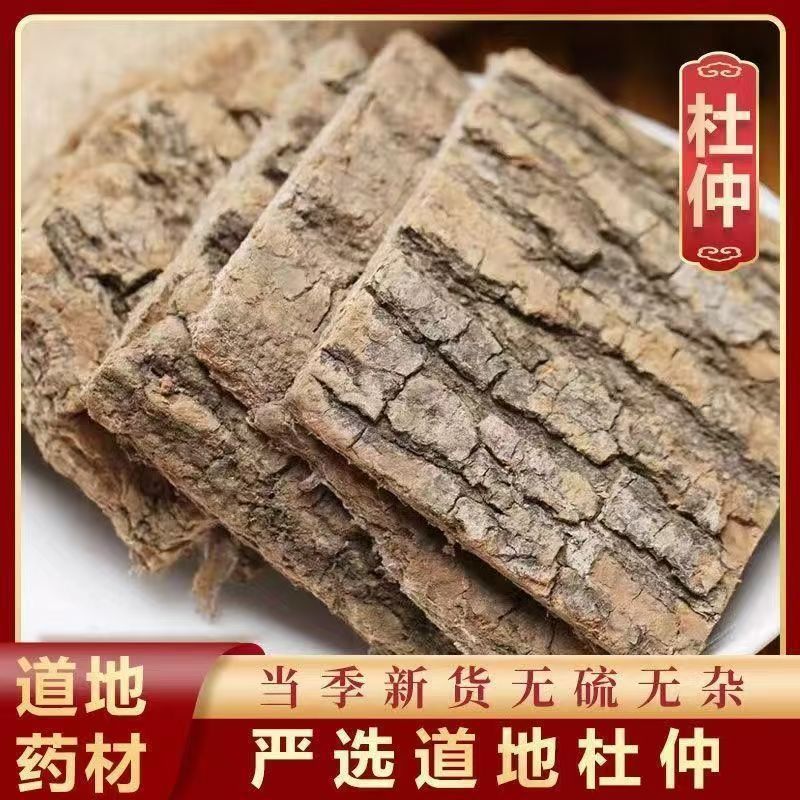 Dried Eucommia Bark Du Zhong 500g Sichuan Sulfur-Free Whole Bark for Decoction and Tea - Image 2