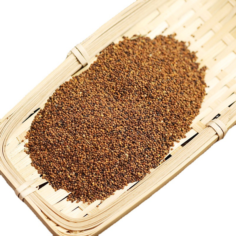 Tu Si Zi (Cuscuta chinensis) — Washed Dodder Seed, 500g Food Herb for Tea & Tonic Blends - Image 5