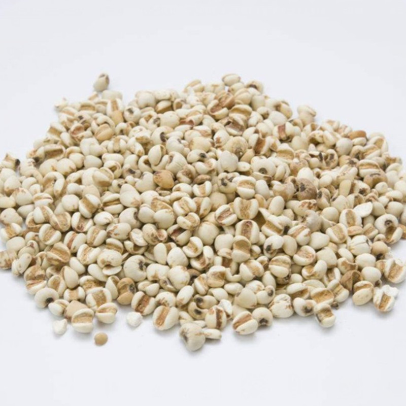 Coix Seed (Coix lacryma-jobi) — Guizhou Yi Mi Ren, Roasted Ready-to-Eat Job's Tears - Image 3