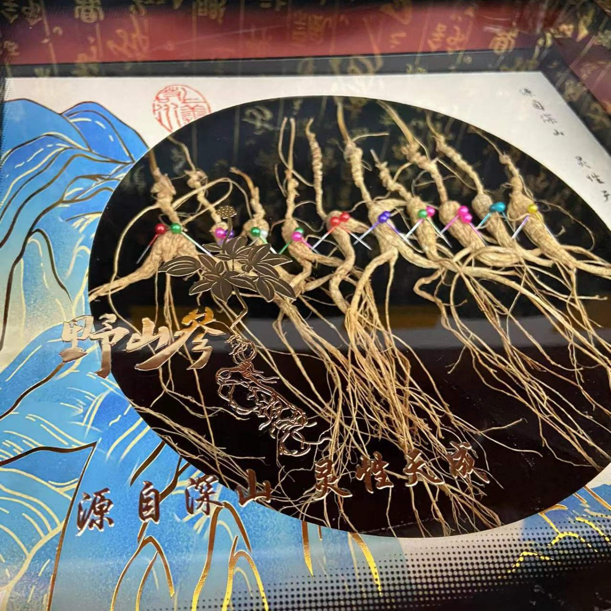 Dried Ginseng Root Gift Box Changbai Mountain Panax Ginseng for Soup and Wine - Image 3