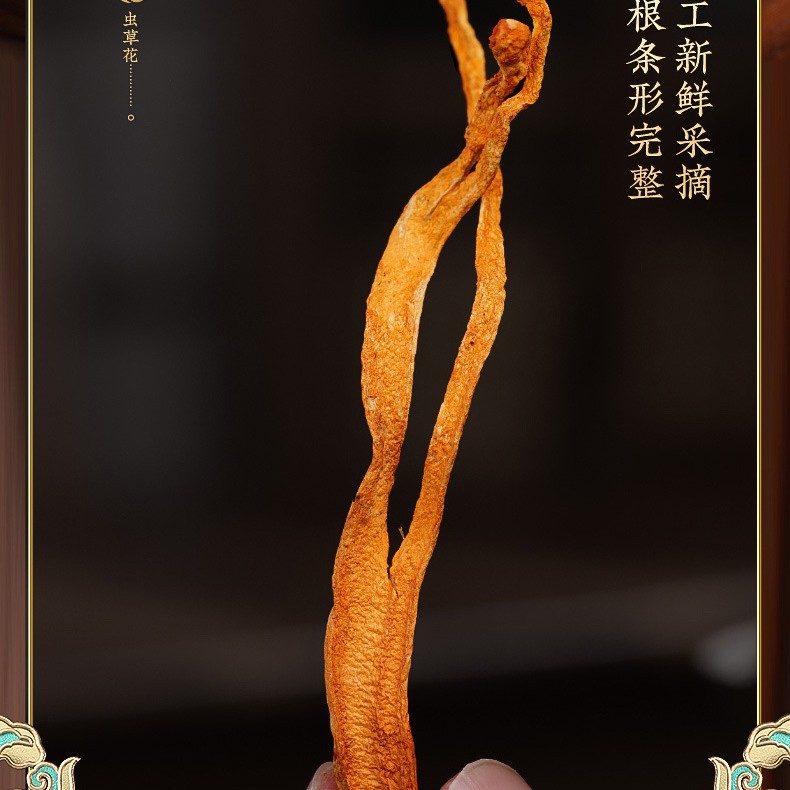 Dried Cordyceps Flower Sporocarp for Soup Premium Selected 150g - Image 5
