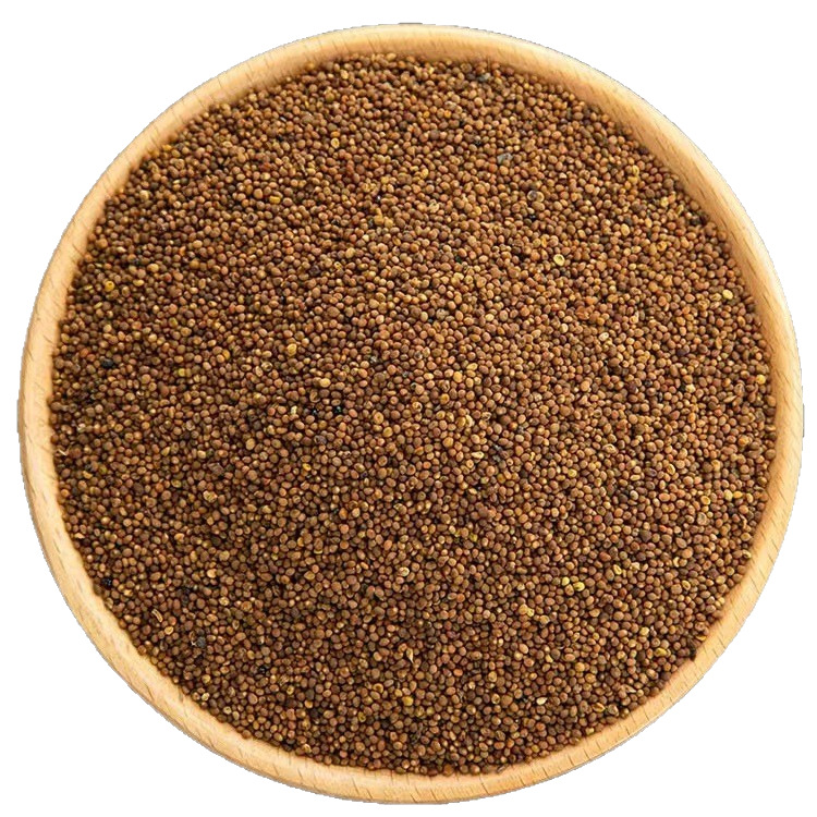 Tu Si Zi (Cuscuta chinensis) — Dried Food-Herb Seeds from Inner Mongolia for Tea & Water - Image 5
