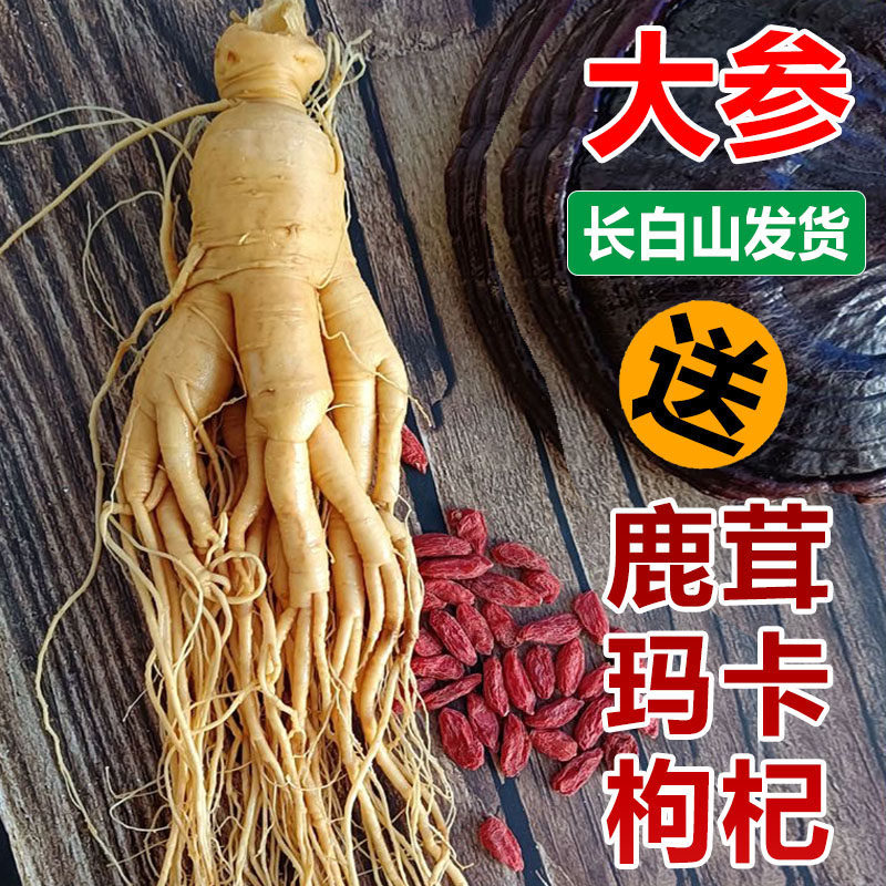 Ginseng Root Ren Shen 长白山人参 Whole Dried Root for Wine Infusion and Cooking 100g - Image 4