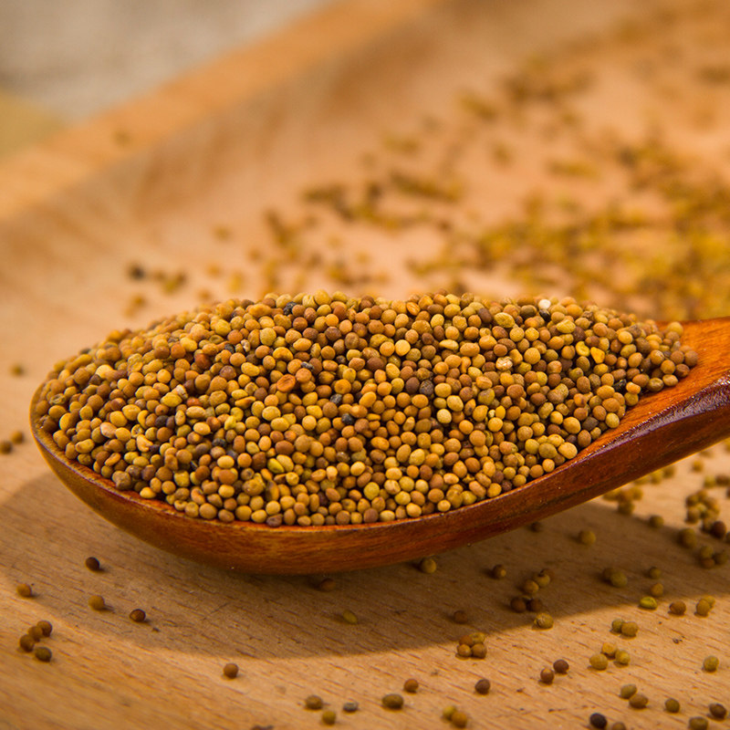 Dried Cuscuta Seeds Tu Si Zi 500g Chinese Dodder Seeds for Tea Wine and Decoction - Image 3
