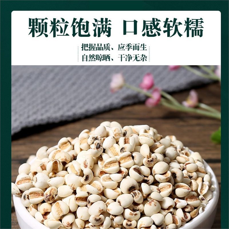 Coix Seed Yi Yi Ren 500g Dried Job's Tears for Tea Soup and Congee - Image 4